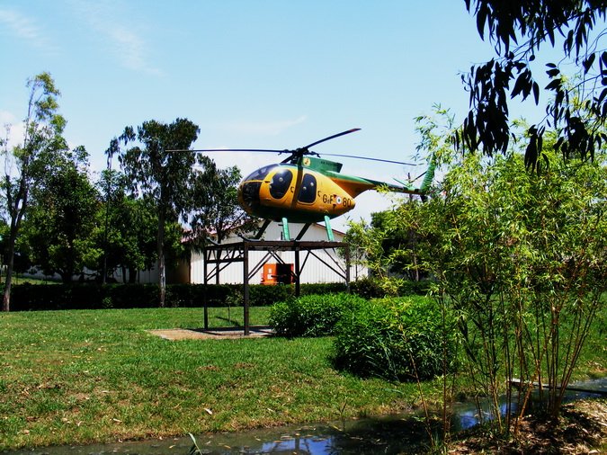 (21) elicottero